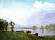 Albert Bierstadt Buffalo Country oil painting picture wholesale